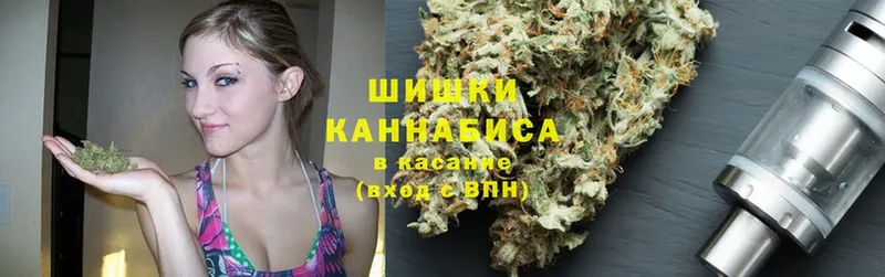 купить  цена  Электроугли  Бошки марихуана Amnesia 